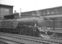 A3 Pacific no 60088 <I>Book Law</I> stands at Carlisle platform 4 with the up <I>Thames-Clyde Express</I> in the summer of 1960.<br><br>[K A Gray 03/06/1960]