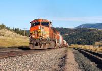 BNSF Dash 9-44CW units 4441 and 1004 (with the assistance of four other locomotives unseen in this picture) get to grips with the eastern slope of the 5,800 foot Bozeman Pass between Livingston and Bozeman, Montana in September 2009. <br>
<br><br>[Andy Carr 21/09/2009]