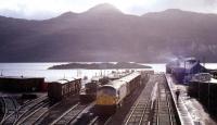 View over the of south side of Kyle of Lochalsh station in August 1972 with a type 2 diesel locomotive marshalling a freight.<br><br>[Colin Miller /08/1972]