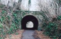 This covered way on the Bath side of Midford S&D looks nice and provides shelter from rain. Since construction of the Two Tunnels Trail in 2013, the surface of the trackbed is smooth tarmac from here to the far end of Devonshire tunnel.<br><br>[Ken Strachan 21/03/2008]