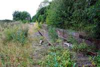 Looking west to the level crossing by the remains of Claydon station on the Buckinghamshire Railway. Many of the rails going east from Shepherd's Furze have been lifted.<br><br>[Ewan Crawford 06/09/2009]