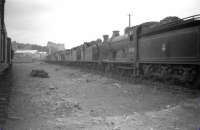 Lineup of condemned locomotives in the sidings alongside Dundee West mineral yard on 28 July 1959. Nearest the camera is Reid ex-NBR <I>Scott</I> class 4-4-0 no 62426 <I>Cuddie Headrigg</I> whose official BR withdrawal date from Stirling South of June 1960 appears to have been several months after it arrived here. 62426 was eventually cut up at Cowlairs Works in July of 1960. Standing on the eastern horizon is Dundee's Queen's Hotel.<br>
<br><br>[Robin Barbour Collection (Courtesy Bruce McCartney) 28/07/1959]