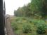 Taken from a northbound train on 25 September 2009 looking south back over the site of Kinnaber Junction with the former Strathmore route formation in the low scrub on the right. Compare with John Robin's shot from a southbound train over 45 years ago, [see image 6950].<br><br>[John McIntyre 25/09/2009]