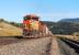 BNSF Dash 9-44CW units 4441 and 1004 (with the assistance of four other locomotives unseen in this picture) get to grips with the eastern slope of the 5,800 foot Bozeman Pass between Livingston and Bozeman, Montana in September 2009. <br>
<br><br>[Andy Carr 21/09/2009]