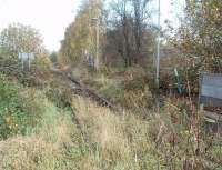 When I last visited the Denby opencast disposal point, in 1995, it was still in regular use but it closed in 1999. In the 1990s it regularly saw Class 56 and Class 58 locos on the coal trains. Ten years after closure the rails are still in situ and this view from the level crossing shows the start of the run-round loop and its associated point levers. Perhaps the location should be called Kilburn, the name of the passenger station on the opposite side of the level crossing, but that closed in 1930 along with passenger services along this line to Ripley.  <br><br>[Mark Bartlett 25/10/2009]