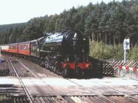 A2 Pacific no 60532 <I>Blue Peter</I> arriving with a southbound train at Levishamon 3 August 2002.<br>
<br><br>[Peter Todd 03/08/2002]