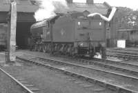 Gresley V2 2-6-2 no 60955 taking on water at Ferryhill shed in July 1963.<br><br>[Colin Miller /07/1963]