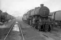 Scene in the shed yard at Kingmoor around 1966. Ivatt 4MT 2-6-0 no 43139 is nearest the camera alongside Britannia Pacific no 70050 <I>Firth of Clyde</I> standing on the right. <br><br>[Robin Barbour Collection (Courtesy Bruce McCartney) //1966]