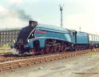 4498 <I>Sir Nigel Gresley</I> with the empty stock of <I>The North Yorkshireman</I> in the goods yard outside Bradford Forster Square station in July 1981.<br><br>[David Pesterfield 07/07/1981]