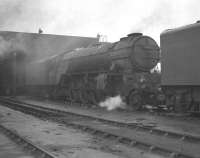 A2 Pacific no 60502 <I>Earl Marischal</I> stands on Kings Cross shed around 1959, no doubt ready to work an ECML service back to its home depot of York. Note the mini smoke deflectors fitted to this locomotive.<br>
<br><br>[Robin Barbour Collection (Courtesy Bruce McCartney) //1959]