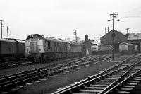 A reasonable selection of tracton on Ferryhill MPD in January 1973. Class 25 no 5227 is nearest the camera with Class 47, 24 and Swindon Cross Country units in evidence.<br><br>[John McIntyre /01/1973]