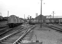 With the remains of the coaling bank on the left and Ferryhill's main shed to the right, this view is along the refuelling road during the early summer of 1974. Looks like a full house with so many locomotives stabled in the shed yard.<br><br>[John McIntyre //1974]