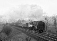 Standard class 9F 2-10-0 no 92019 and banker ascending Beattock with a freight near the site of the long closed Auchencastle station heading towards Greskine circa April 1965. The banker in this case is thought to be Beattock shed's 80045 [see image 27908].<br><br>[Robin Barbour Collection (Courtesy Bruce McCartney) /04/1965]