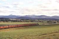 With the Cairngorms forming the horizon, a Birmingham type 2 draws a southbound train into Broomhill station in 1961. Broomhill (now a station on the Strathspey Railway) is on the original Highland Railway route from Inverness to Aviemore via Forres and Grantown-on-Spey. [see image 34953]<br><br>[Peter Oliver Collection (Courtesy David Spaven) //1961]