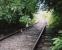 The Leamside line in July 2009, here viewed from a foot crossing, just seems to need a bit of pruning. Well, maybe a second track. View looks East.<br><br>[Ken Strachan 04/07/2009]