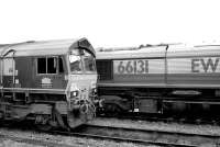 EWS liveried 66098 & 66131 at Didcot on 21 November 2009.<br><br>[Peter Todd 21/11/2009]