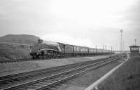 A4 Pacific no 60009 <I>Union of South Africa</I> passing Lamesley on its way north with <i>The Jubilee Requiem</i> in October 1964. The RCTS/SLS 10-coach special, a Kings Cross - Newcastle return working, was run to mark the end of the A4s over this route. [See image 22334]<br><br>[Robin Barbour Collection (Courtesy Bruce McCartney) 24/10/1964]