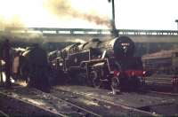 BR Standard class 4 2-6-4T no 80003 stands alongside a number of other locomotives  in the busy shed yard at Polmadie in May 1959. [Editors note: The hazy atmosphere and angle of the sun seem to have conspired to produce an image reminiscent of a Terence Cuneo painting!]<br><br>[A Snapper (Courtesy Bruce McCartney) 16/05/1959]