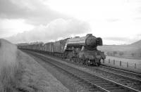 Waverley route freight behind an A3 Pacific between Hassendean and Hawick in the 1960s. (Editors note: From the original scan the number plate could be 60100 <I>Spearmint</I>, a locomotive that was transferred from Haymarket to St Margarets in 1963, remaining there until final withdrawal in mid-1965).<br><br>[Robin Barbour Collection (Courtesy Bruce McCartney) //]