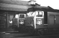 Class 50s stand on Polmadie shed towards the end of 1969.<br><br>[Bill Jamieson 16/11/1969]