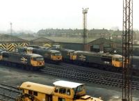 Class 56 freight locomotives rest on Knottingley TMD on 26 February 1983 following a week of hard work. On shed on this particular Saturday can be seen large logo examples 56092, 56115, 56093 and 56110, plus 56081.<br><br>[David Pesterfield 26/02/1983]