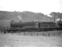 Robinson D11 4-4-0 no 62682 <I>Haystoun of Bucklaw</I> is one of a number of stored locomotives at Polmont in 1960. This one was not officially withdrawn from Eastfield shed by BR until July of the following year and was cut up at Inverurie works two months later.<br><br>[Robin Barbour Collection (Courtesy Bruce McCartney) //1960]