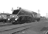 60019 <I>Bittern</I> being serviced on shed at Ferryhill in September 1966 after bringing in a special from Glasgow.<br><br>[Colin Miller 03/09/1966]