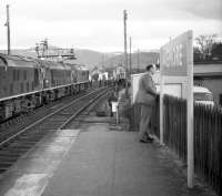 Following its arrival from Aberdeen via Craigellachie on 25 March 1967 behind D5070+D5127, the 18-coach <I>Grand Scottish Tour No 1</I> was given further assistance for the return journey to Perth by the addition of a third locomotive, no D5122. The trio is seen here at  Aviemore at around 18.30 prior to heading south. Full details of the tour, together with timings logged by John Robin that day, appear on the SBJ website. [With additional thanks to John McIntyre] [See image 27770] <br>
<br><br>[Robin Barbour Collection (Courtesy Bruce McCartney) 25/03/1967]
