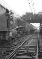 60019 <I>Bittern</I> after running round at Guide Bridge with <I>The Mancunian</I> railtour on 25 November 1967. The A4 then hauled the train tender-first to Stockport, before returning to Leeds via Manchester Victoria and Hebden Bridge.<br>
<br><br>[Robin Barbour Collection (Courtesy Bruce McCartney) 25/11/1967]
