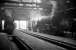 Looking out from the back of St Margarets shed on 16 April 1965 A1 Pacific no 60145 <I>St Mungo</I> stands on the left with V2 60955 in the centre. Over to the right a <I>Peak</I> hides in the shadows. [Note: the Pacific had  worked the previous day's 9.30am York - Glasgow Queen Street, possibly as far as Edinburgh.] [See image 26768]<br><br>[Robin Barbour Collection (Courtesy Bruce McCartney) 16/04/1965]