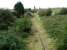 View north towards Fleetwood from the end of the double track section 600 yards north of Poulton-le-Fylde Junction [See image 19029]. The line is classed as 'not in regular use' - an understatement in view of the pallisade fence that crosses the trackbed below the bridge from which the photograph was taken. That said, signals and trackside cabinets are still in place, but vegetation is now taking hold.<br><br>[John McIntyre 28/09/2009]