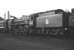 BR Standard Pacific no 72000 <I>Clan Buchanan</I> on shed at Polmadie in May 1959. [Railscot note: A project to build the next 'Clan' in the series, no 72010 <I>Hengist</I>, is currently (February 2010) being undertaken by the Standard Steam Locomotive Co.] <br><br>[A Snapper (Courtesy Bruce McCartney) 16/05/1959]