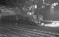 An unidentified Black 5 waits with a train in the shadows of Glasgow Central station in the 1960s.<br><br>[K A Gray //]