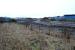 Desolation. This was the rail loading area by Moss Bay Steelworks. Here the private railway of the works and the public railway came together. [See image 11539 of this location in happier times.]<br><br>[Ewan Crawford 01/02/2010]