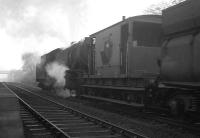 WD Austerity 2-8-0 no 90434 works hard at the back end of an iron ore train climbing through Beamish on 15 February 1964. Together with Standard class 9F 2-10-0 no 92097 on the front of the train the locomotive is helping to move 700 tons of iron ore from Tyne Dock import terminal up to the blast furnaces of Consett steel works on the western edge of County Durham.<br><br>[Robin Barbour Collection (Courtesy Bruce McCartney) 15/02/1964]