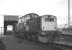 Blue liveried Clayton D8606 on shed at Millerhill on 5 November 1969. (Railscot note: This is the locomotive that, as Hawick station pilot on the evening of 5 January 1969, was sent south in advance of the final train over the Waverley route to check out reports of demonstrations and disturbances further down the line towards Newcastleton [see image 21882]) <br><br>[Bill Jamieson 05/11/1969]