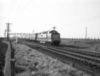 An up service passing Drem Junction on the ECML behind a Deltic in the 1960s. Train 2N83 is the 1420 Edinburgh Waverley - Newcastle Central, not a usual turn for a Deltic, which is thought to be running in or covering for a Type 4 failure in this case. [With thanks to Messrs Hillier, Rafferty, Watson, Mackie & Taylor]]  <br>
<br><br>[Robin Barbour Collection (Courtesy Bruce McCartney) //1967]
