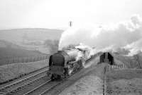 <i>A View from the Bridge I.</i>  Looking south from the bridge over the Waverley route south of Hassendean station in the 1960s as A1 Pacific no 60152 <I>Holyrood</I> approaches with an Edinburgh bound train. [See image 28699]<br>
<br><br>[Robin Barbour Collection (Courtesy Bruce McCartney) //]