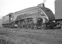Portrait of A4 Pacific no 60013 <I>Dominion of New Zealand</I> standing at the west end of Gateshead shed in the 1960s. The streamliner would doubtless be diagrammed to take an up ECML service out of Newcastle Central later that day returning home to Kings Cross.<br><br>[K A Gray //]