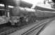 Newcastle Central in the early 1960s with York based A1 Pacific no 60150 <I>Willbrook</I> simmering quietly alongside a platform where the mailbags seem to have taken over.<br>
<br><br>[K A Gray //]