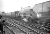 Kings Cross A4 Pacific no 60030 <I>Golden Fleece</I> leaving Heaton with ECS for Newcastle Central in March 1960.<br><br>[Robin Barbour Collection (Courtesy Bruce McCartney) 26/03/1960]