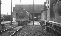 View west at Bathgate MPD in March 1966, with B1 no 61307 and J36 no 65319 amongst the locomotives on shed. Bathgate Central signal box stands in the left background. <br><br>[K A Gray 05/03/1966]