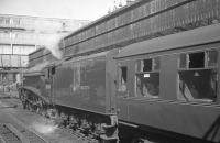 60019 <I>Bittern</I> shortly after arrival at Aberdeen on 3 September 1966 with the last BR scheduled A4 return service from Glasgow Buchanan Street. [See image 27834]<br><br>[K A Gray 03/09/1966]