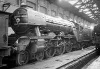A3 no 60051 <I>Blink Bonny</I> photographed in the Pacific shed (originally part of the old tender shop) at Gateshead on 24 October 1964. The locomotive was withdrawn by BR the following month.<br><br>[Robin Barbour Collection (Courtesy Bruce McCartney) 24/10/1964]