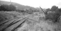 Taken after final closure, probably around 1960, this picture looking towards the buffers shows Holcombe Brook station and its goods yard. Compared to earlier pictures [see image 29655] the conductor rails and signal box have gone, and everything is heavily overgrown but the basic layout can still be seen. The site was subsequently cleared and redeveloped. Photo courtesy of Bury Historical Society. <br><br>[W A Camwell Collection (Courtesy Mark Bartlett) //1960]