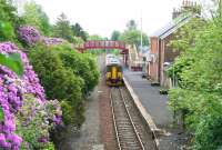 A southbound train pulls away from a colourful Maybole station and heads for Girvan on the last day of May 2007.<br><br>[John Furnevel 31/05/2007]