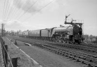 A1 Pacific no 60147 <I>North Eastern</I> leaves Drem in April 1964 with the 3.48pm (SO) Edinburgh Waverley - Berwick on Tweed stopping service. The train, which originated as a Corstorphine - Waverley ecs working [see image 25493], enabled the Pacific to return south, with a St Margarets locomotive arriving back in Edinburgh with the reverse working.<br><br>[Robin Barbour Collection (Courtesy Bruce McCartney) /04/1964]
