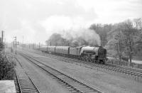 A1 Pacific no 60151 <I>Midlothian</I> leaves Longniddry in April 1964 with the 3.30pm Edinburgh - Berwick stopping train. Nearest the camera is the down siding and, beyond that, the Haddington branch (closed completely in 1968). <br><br>[Robin Barbour Collection (Courtesy Bruce McCartney) /04/1964]