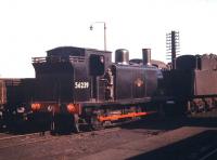 McIntosh 3F 0-6-0T no 56239 photographed in a corner of Polmadie shed in the autumn of 1959.<br><br>[A Snapper (Courtesy Bruce McCartney) 26/09/1959]