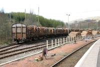 View north at Crianlarich in April 2005, with timber loading operations taking place in the sidings running along the west side of the station.<br><br>[John Furnevel 16/04/2005]